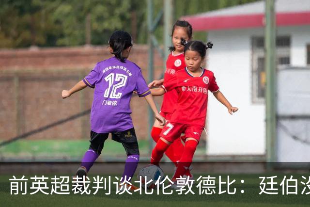 前英超裁判谈北伦敦德比：廷伯没有染红是正确的